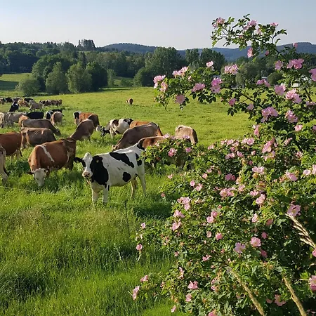 Mit Wallbox By Interhome