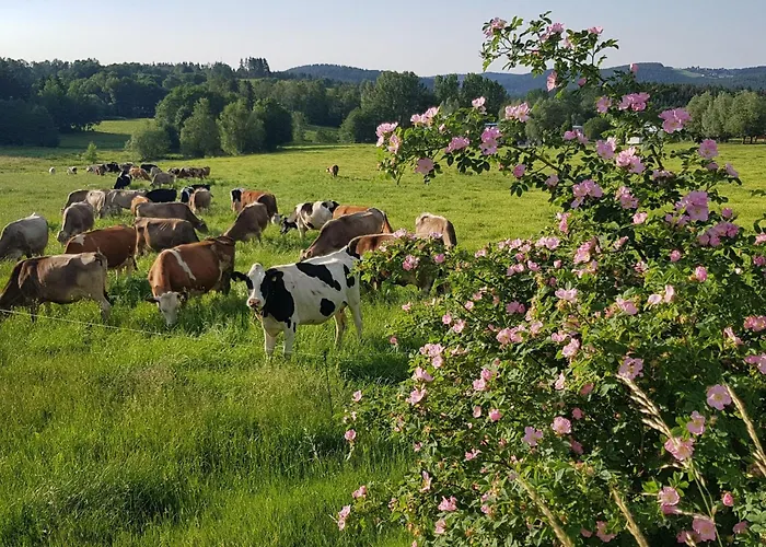 Mit Wallbox By Interhome